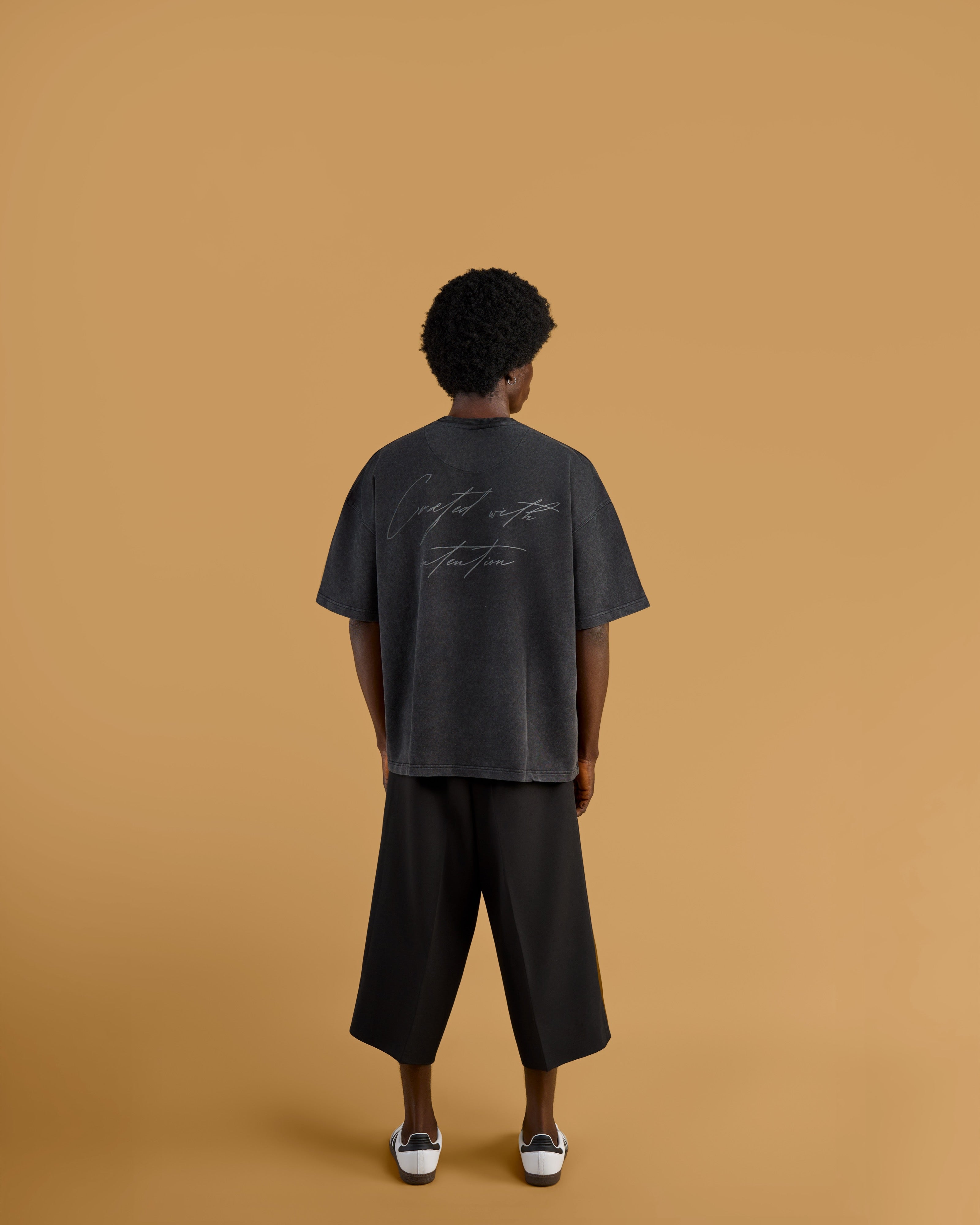 ANIÉZÉ Ascension Tee in Vintage Onyx, full body back view