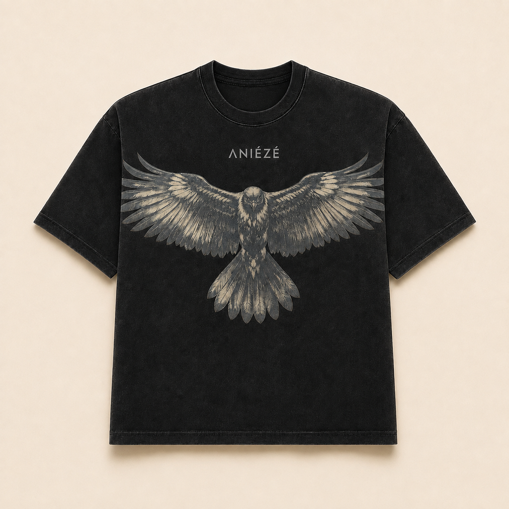ANIÉZÉ Ascension Tee in Vintage Onyx, front view with eagle artwork